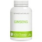 Ginseng (Panax ginseng) - Énergie & Vitalité