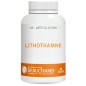 Lithothamne Pur - Calcium Marin & Minéralisation