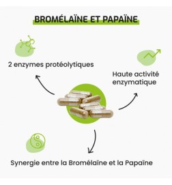 Bromélaïne & Papaïne - Complexe Enzymatique Végétal