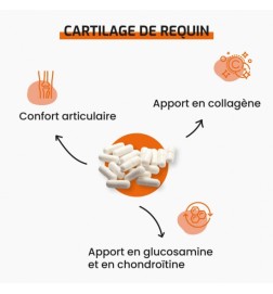 Cartilage de Requin | Soutien Articulaire | Viapure