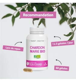 Chardon Marie BIO | Protection du Foie | Viapure