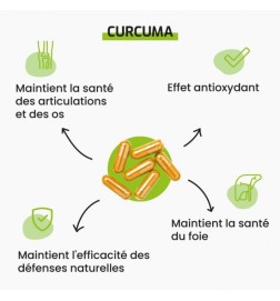 Curcuma | Protection Articulaire & Antioxydant | Viapure