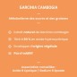 Garcinia Cambogia - Gestion du Poids