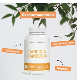 Garcinia Cambogia | 60% AHC | Viapure