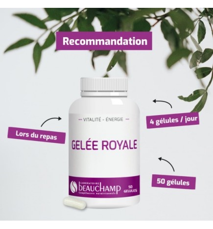 Gelée Royale Pure - Vitalité Naturelle