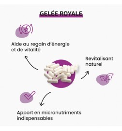 Gelée Royale | Énergie & Vitalité | Viapure