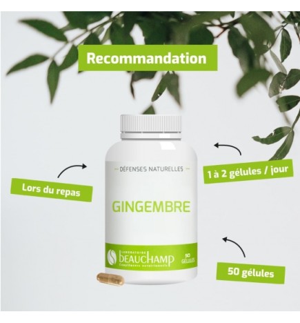 Gingembre - Confort Digestif & Mobilité