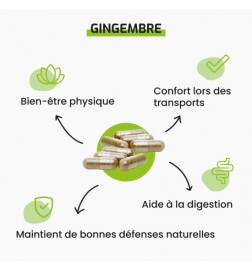 Gingembre | Digestion & Articulations | Viapure