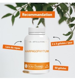 Harpagophytum Bio - Confort Articulaire