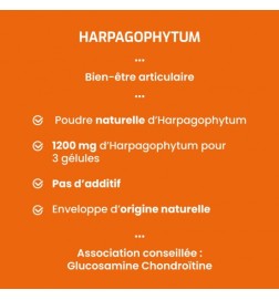 Harpagophytum | Souplesse Articulaire Naturelle | Viapure