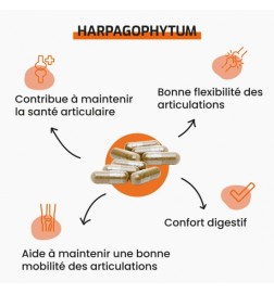 Harpagophytum | Souplesse Articulaire Naturelle | Viapure