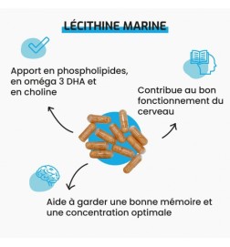 Lécithine Marine | DHA Hautement Assimilable | Viapure