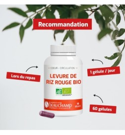 Levure de Riz Rouge BIO | 2,98 mg Monacoline K | Viapure