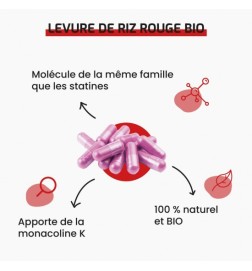 Levure de Riz Rouge BIO | 2,98 mg Monacoline K | Viapure