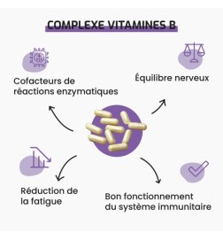 Complexe Vitamines B | Anti-fatigue & Immunité | Viapure