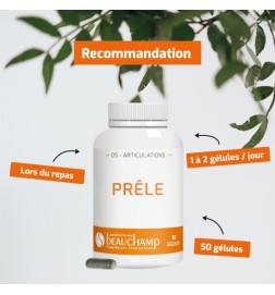 Prêle | Source Végétale de Silicium | Viapure