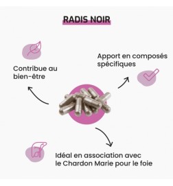 Radis Noir | Source Naturelle de Glucosinolates | Viapure