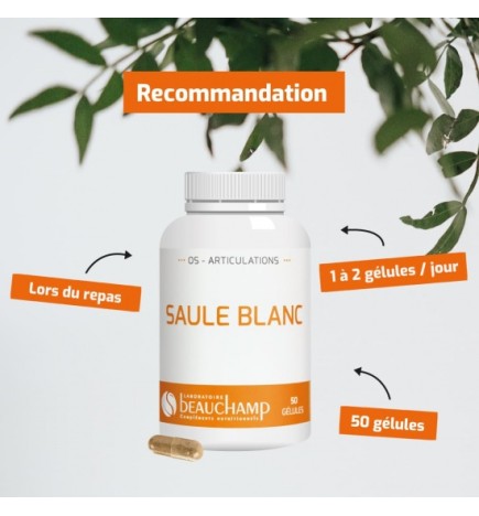 Saule Blanc Bio - Écorce Traditionnelle