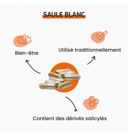 Saule Blanc | Source Naturelle de Salicine | Viapure