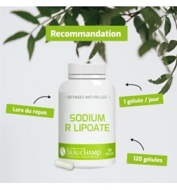 Sodium R-Lipoate 400 mg - Antioxydant Premium