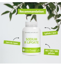 Sodium R-Lipoate 300 mg - Antioxydant Premium