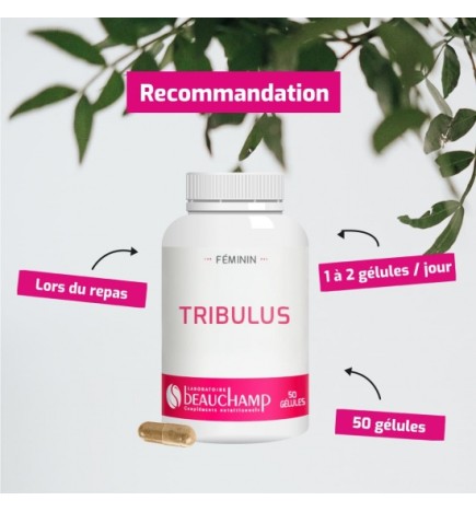 Tribulus 400 Premium - Extrait Standardisé