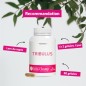 Tribulus 400 Premium - Extrait Standardisé