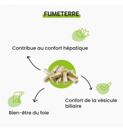 Fumeterre Bio | Bien-être du Foie | Viapure