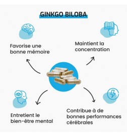 Ginkgo biloba | Mémoire et Fonctions Cognitives | Viapure