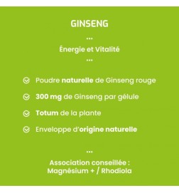 Ginseng (Panax ginseng) - Énergie & Vitalité