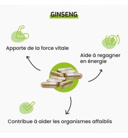 Ginseng | Tonus et Énergie Naturelle | Viapure