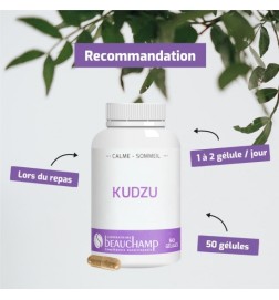 Kudzu | Extrait Titré 40% Isoflavones | Viapure