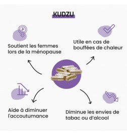 Kudzu | Extrait Titré 40% Isoflavones | Viapure