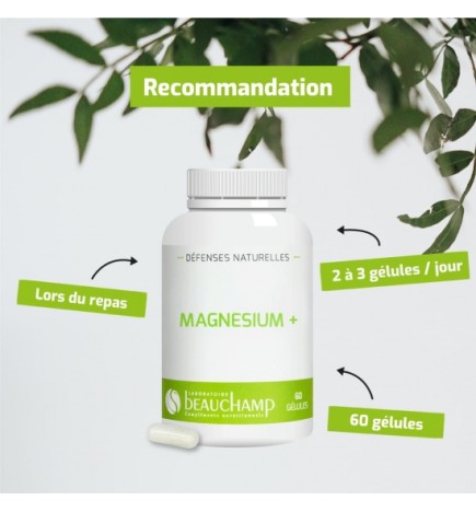 Magnésium+ Haute Absorption - Équilibre & Vitalité