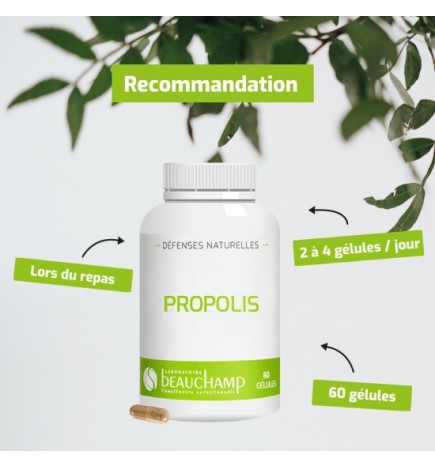 Propolis Pure - Protection Naturelle