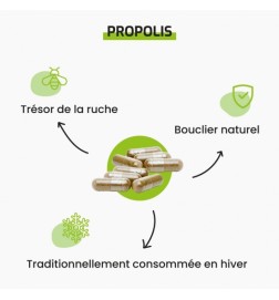 Propolis | Défenses Naturelles de la Ruche | Viapure