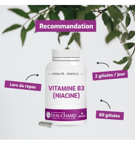 Vitamine B3 (Niacine) Premium - Vitalité