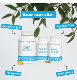 Pack Mémoire Premium - DHA & Ginkgo