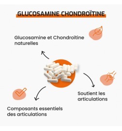 Glucosamine & Chondroïtine Marine | Articulations | Viapure