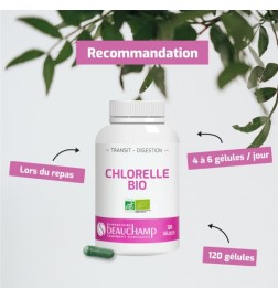 Chlorelle BIO | Microalgue Riche en Nutriments | Viapure