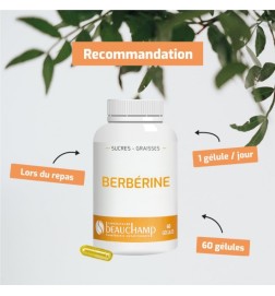 Berbérine Premium - Équilibre Glycémique