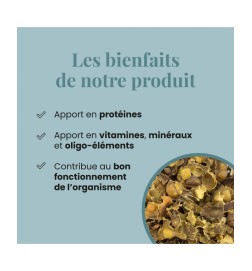 Fucus BIO en Paillettes | Algue Bretonne | Viapure