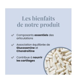 Glucosamine Chondroïtine | Soutien Articulaire | Viapure