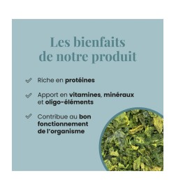 Laitue de Mer BIO | Source de Magnésium | Viapure