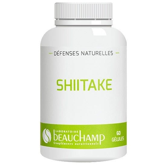 Shiitake Premium - Champignon Traditionnel - myviapure